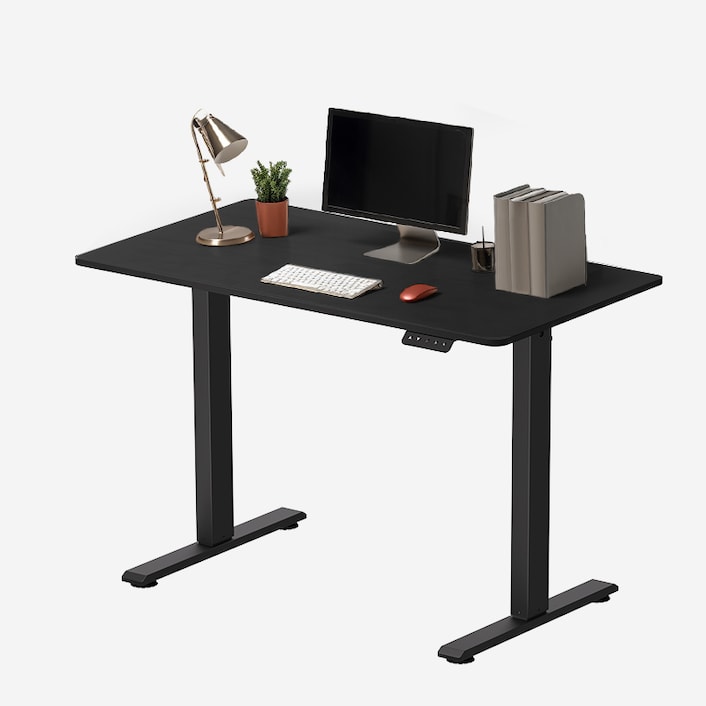 Flexispot adjustable clearance desk